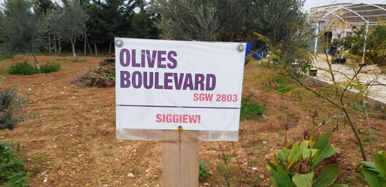 Siggiewi Auberge De Provence 게스트하우스 외부 사진